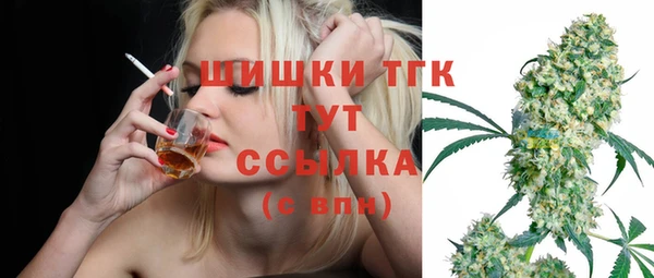 дживик Арсеньев