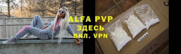 дживик Арсеньев