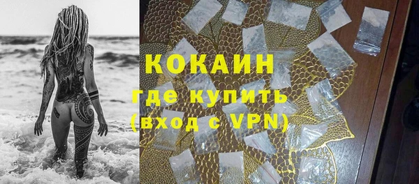 дживик Арсеньев