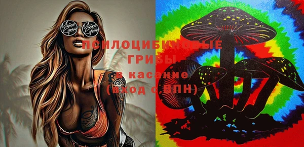 дживик Арсеньев