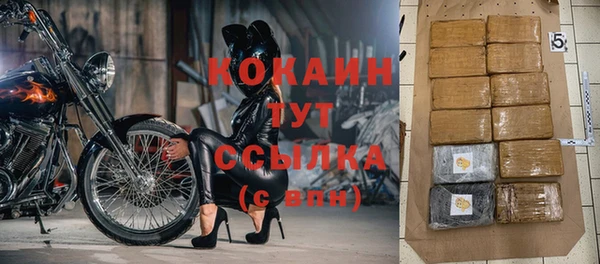 молекула духа Аркадак