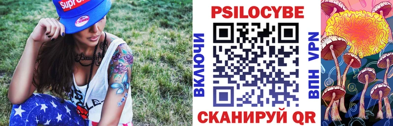 Псилоцибиновые грибы Psilocybe  МЕГА ТОР  Карабулак  закладки 