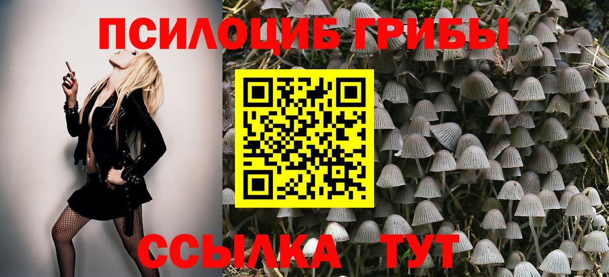 Галлюциногенные грибы прущие грибы Карабулак