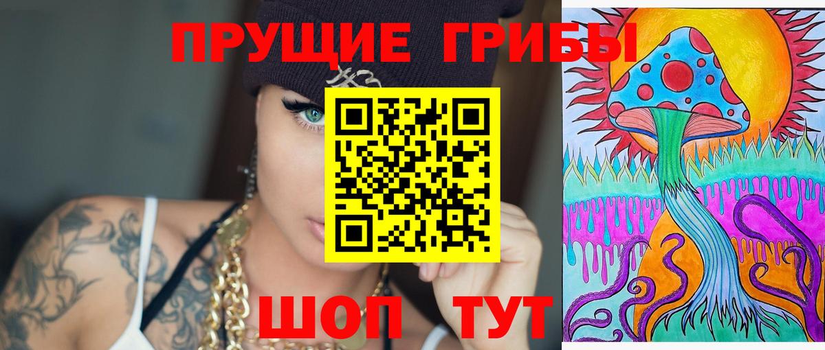 Псилоцибиновые грибы Psilocybe  Вход с VPN  как найти закладки  Карабулак 